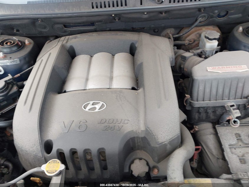 2004 Hyundai Santa Fe Gls VIN: KM8SC73D04U766974 Lot: 43567430