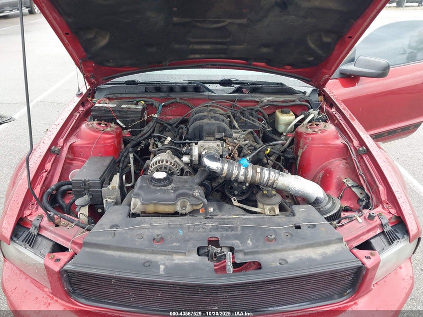 2007 Ford Mustang V6 Deluxe/V6 Premium VIN: 1ZVFT80N675199187 Lot: 43567529