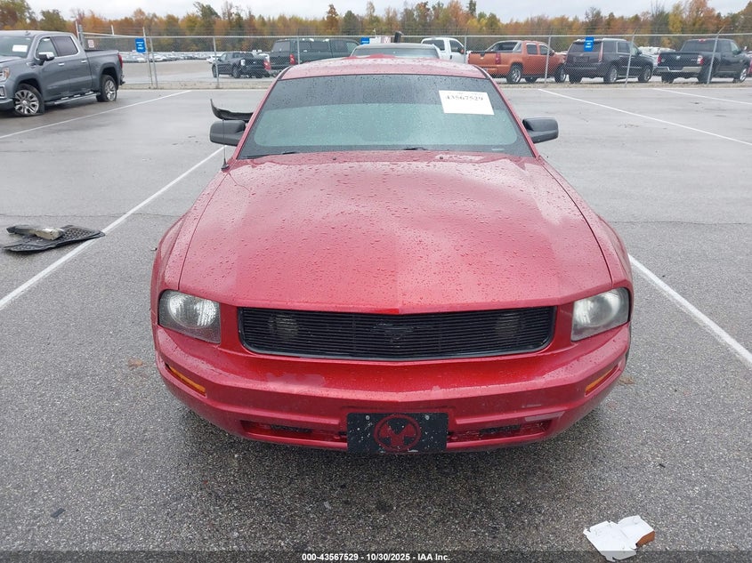 2007 Ford Mustang V6 Deluxe/V6 Premium VIN: 1ZVFT80N675199187 Lot: 43567529