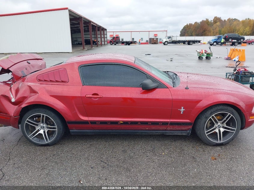 2007 Ford Mustang V6 Deluxe/V6 Premium VIN: 1ZVFT80N675199187 Lot: 43567529