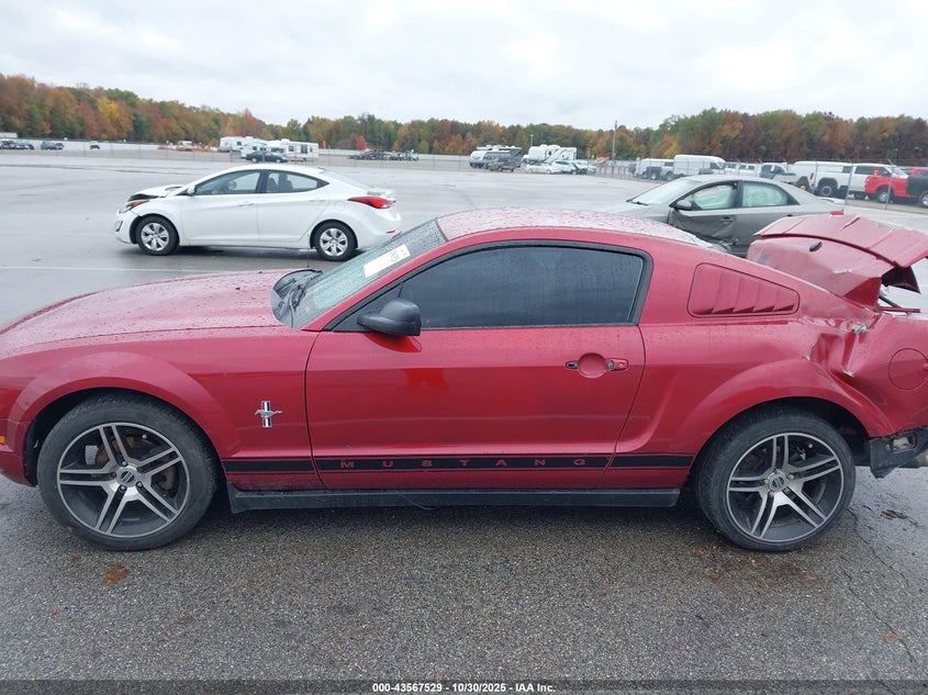 2007 Ford Mustang V6 Deluxe/V6 Premium VIN: 1ZVFT80N675199187 Lot: 43567529