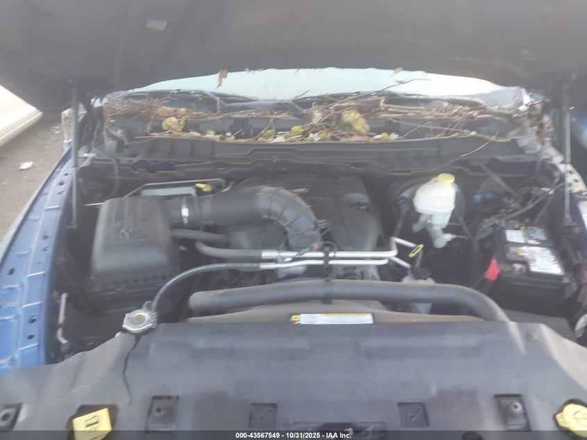 2009 Dodge Ram 1500 Slt/Sport VIN: 1D3HV18T99S724674 Lot: 43567549