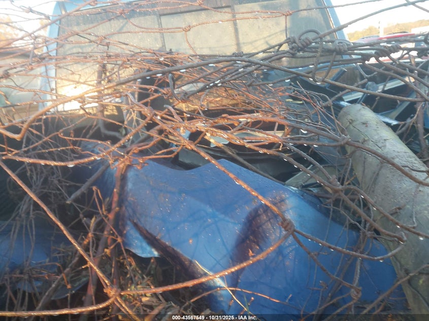 2009 Dodge Ram 1500 Slt/Sport VIN: 1D3HV18T99S724674 Lot: 43567549