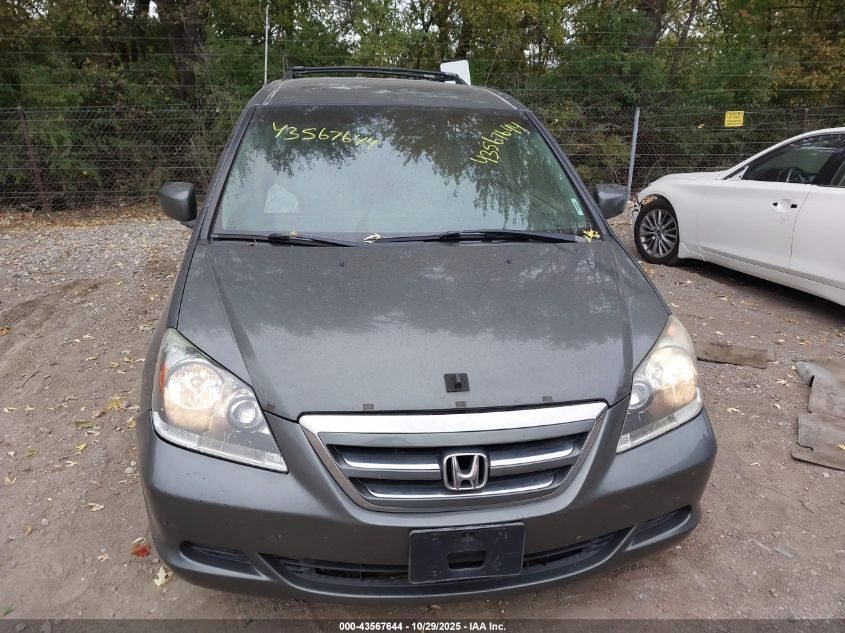 2007 Honda Odyssey Ex-L VIN: 5FNRL38707B441382 Lot: 43567644