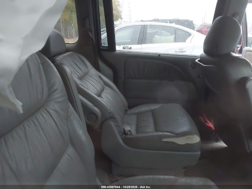 2007 Honda Odyssey Ex-L VIN: 5FNRL38707B441382 Lot: 43567644