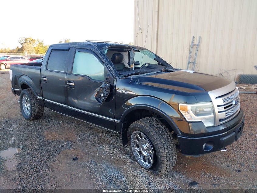 FORD F-150 PLATINUM