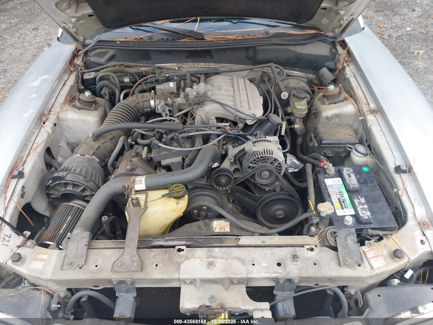 1998 Ford Mustang VIN: 1FAFP4042WF248035 Lot: 43568158