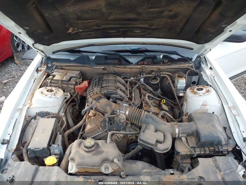 2013 Ford Mustang V6 VIN: 1ZVBP8AM1D5274852 Lot: 43568489