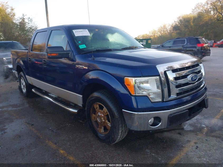 FORD F-150 XLT