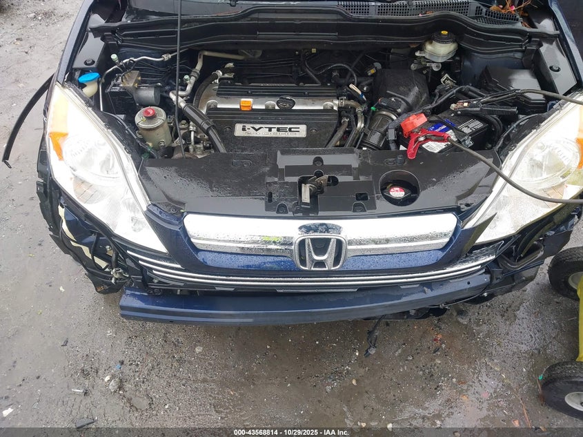 2007 Honda Cr-V Ex VIN: JHLRE38557C024462 Lot: 43568814