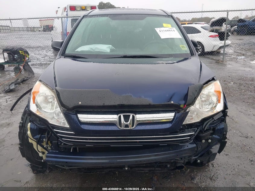 2007 Honda Cr-V Ex VIN: JHLRE38557C024462 Lot: 43568814