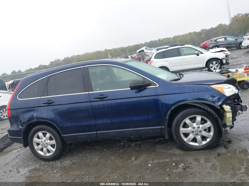 2007 Honda Cr-V Ex VIN: JHLRE38557C024462 Lot: 43568814