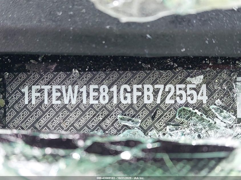 2016 Ford F-150 Xlt VIN: 1FTEW1E81GFB72554 Lot: 43569183