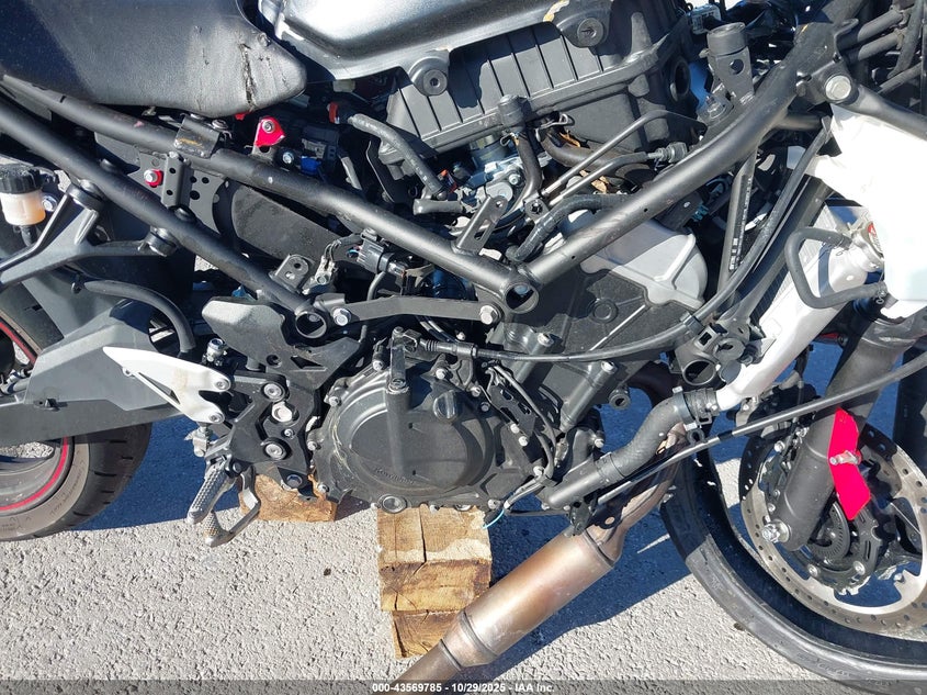 2024 Kawasaki Ex500 VIN: ML5EXGG17RDA21844 Lot: 43569785