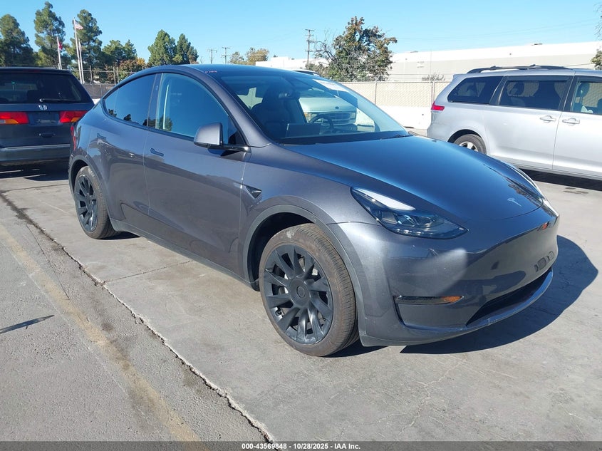 TESLA MODEL Y RWD