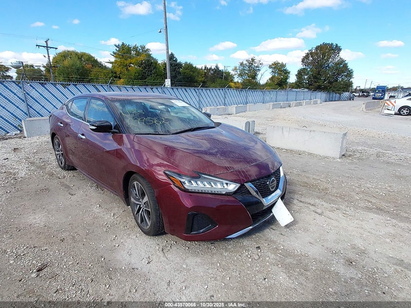 NISSAN MAXIMA 3.5 SV