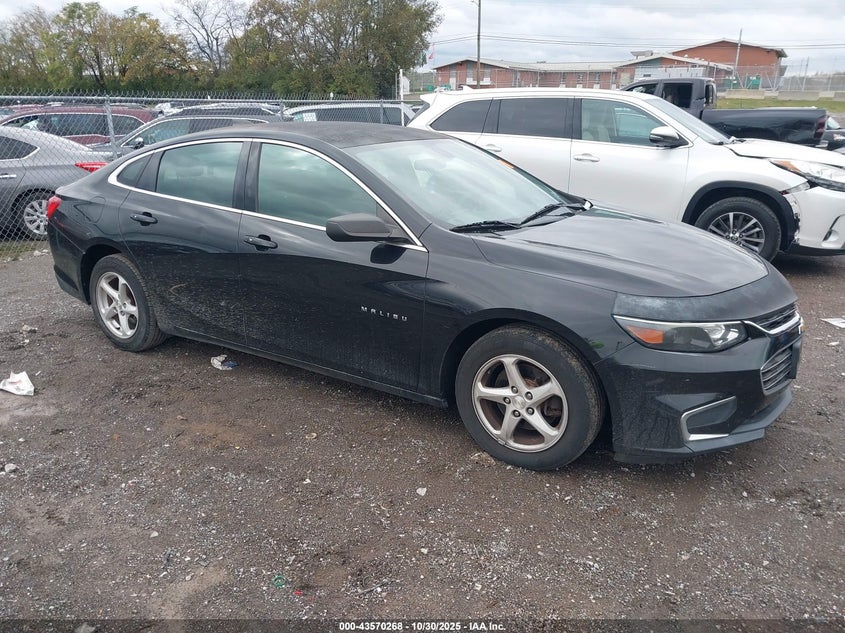 CHEVROLET MALIBU 1FL