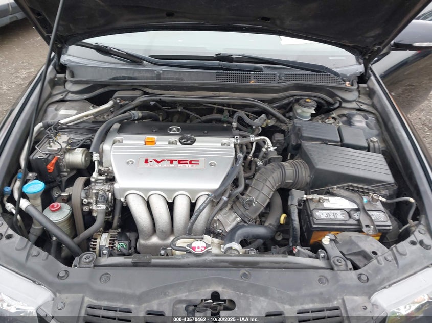 2006 Acura Tsx VIN: JH4CL96916C037479 Lot: 43570462