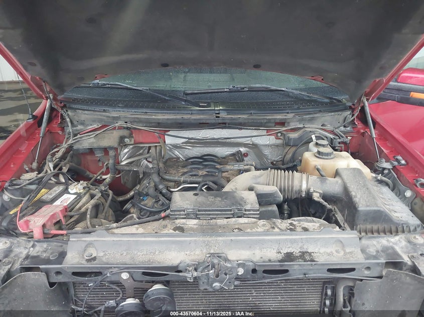1FTFW1EF6BFA74132 2011 FORD F-150 photo no. 10