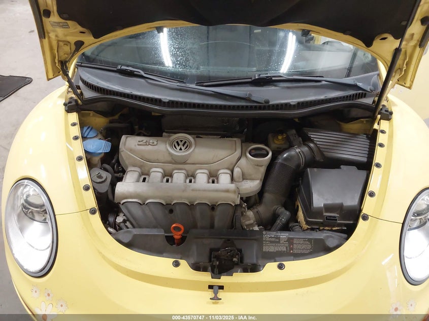 2008 Volkswagen New Beetle S/Se VIN: 3VWRW31C08M506109 Lot: 43570747