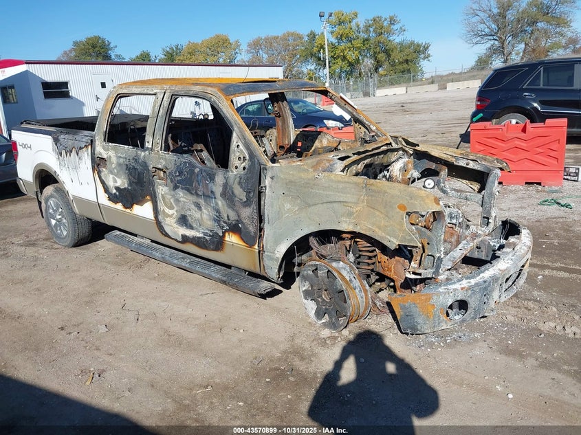 FORD F-150 FX4/HARLEY-DAVIDSON/KING RANCH/LARIAT/PLATINUM/XL/XLT