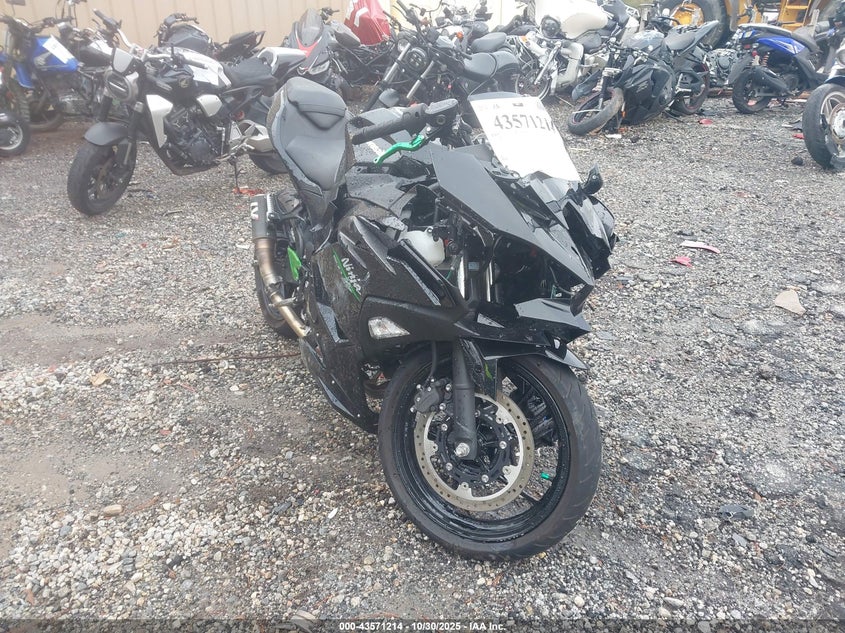 2024 Kawasaki Ex500 H