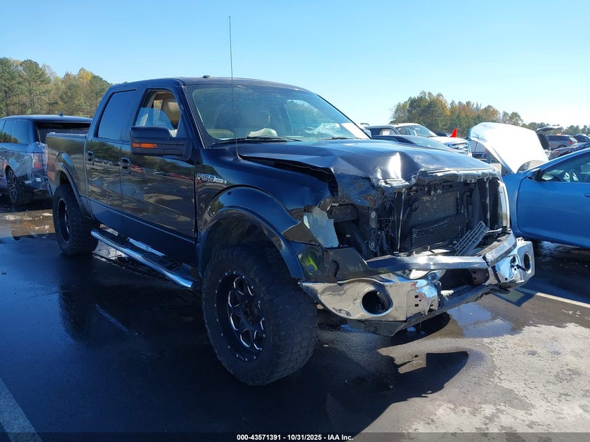 FORD F-150 FX4/HARLEY-DAVIDSON/KING RANCH/LARIAT/PLATINUM/XL/XLT