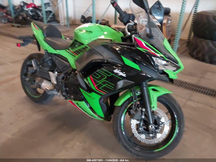 2024 KAWASAKI EX650 P - ML5EXEP13RDAC4384