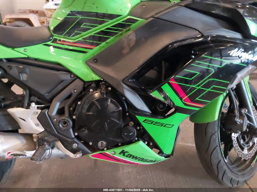 2024 KAWASAKI EX650 P - ML5EXEP13RDAC4384