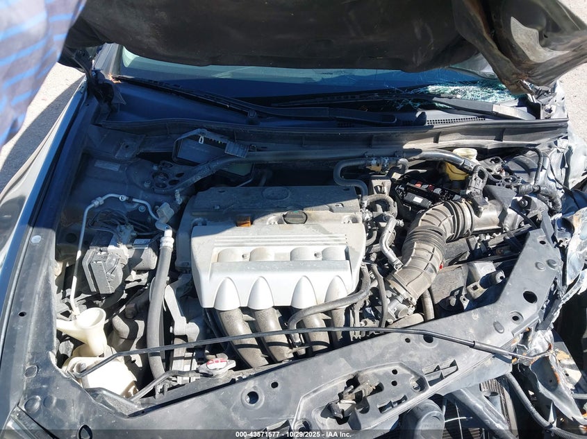 2009 Acura Tsx VIN: JH4CU26689C016692 Lot: 43571577