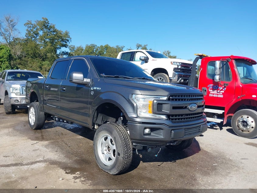 FORD F-150 XLT