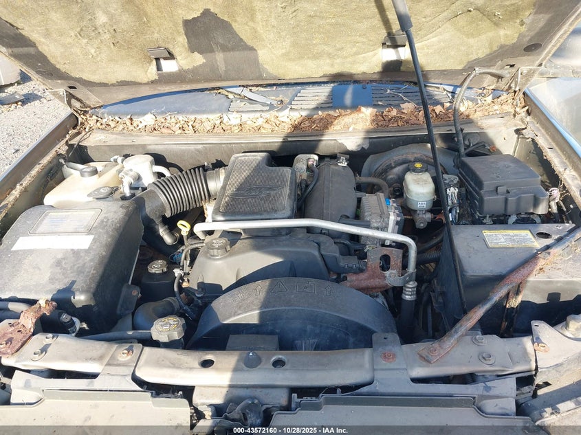 2005 Chevrolet Trailblazer Ls VIN: 1GNDT13S252264271 Lot: 43572160