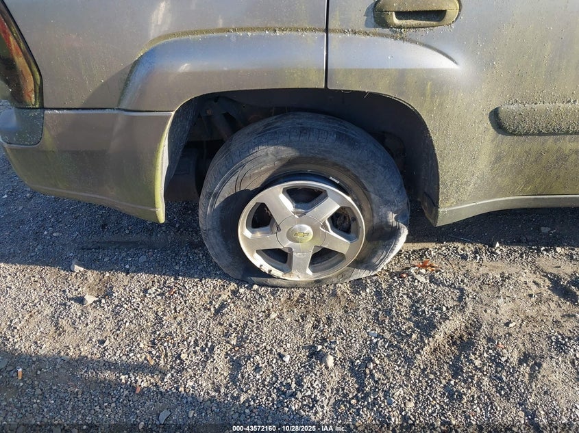 2005 Chevrolet Trailblazer Ls VIN: 1GNDT13S252264271 Lot: 43572160