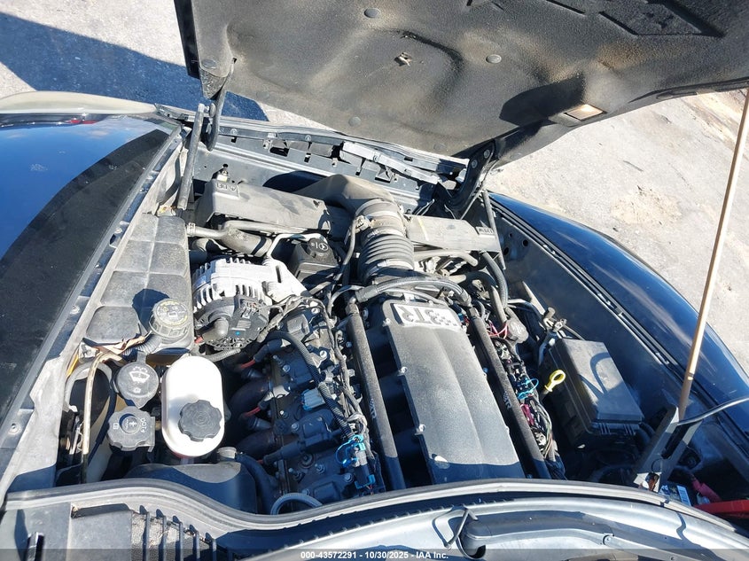 2005 Chevrolet Corvette VIN: 1G1YY22U955129560 Lot: 43572291