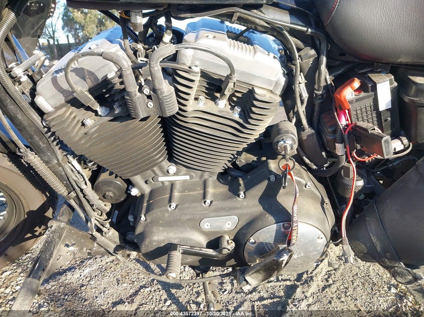 2013 Harley-Davidson Xl1200 Forty-Eight VIN: 1HD1LC313DC404348 Lot: 43572397