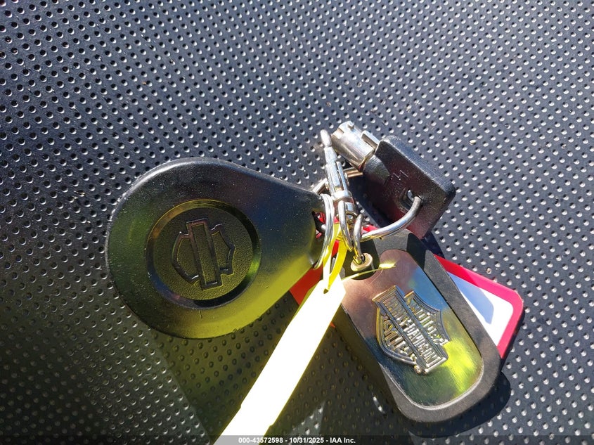 2021 Harley-Davidson Flrt VIN: 1HD1MCP11MB856604 Lot: 43572598