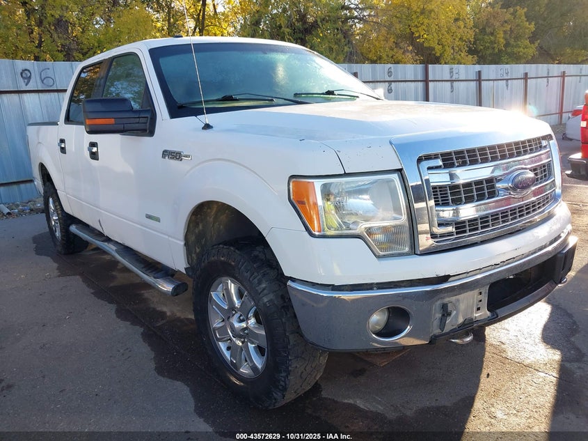 FORD F-150 XLT