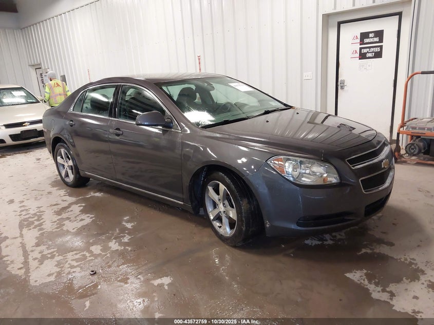 CHEVROLET MALIBU 1LT