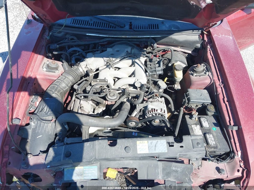 2003 Ford Mustang VIN: 1FAFP40423F374794 Lot: 43572886