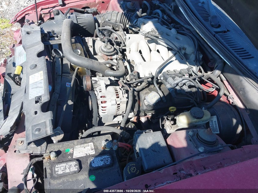 2003 Ford Mustang VIN: 1FAFP40423F374794 Lot: 43572886