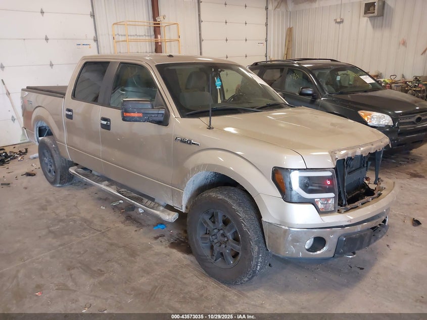 FORD F-150 XL/XLT