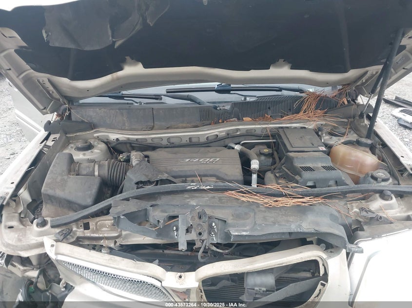 2009 Pontiac Torrent VIN: 2CKDL33F896205489 Lot: 43573264