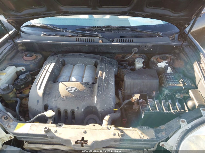 2003 Hyundai Santa Fe Gls/Lx VIN: KM8SC13D83U401051 Lot: 43573368