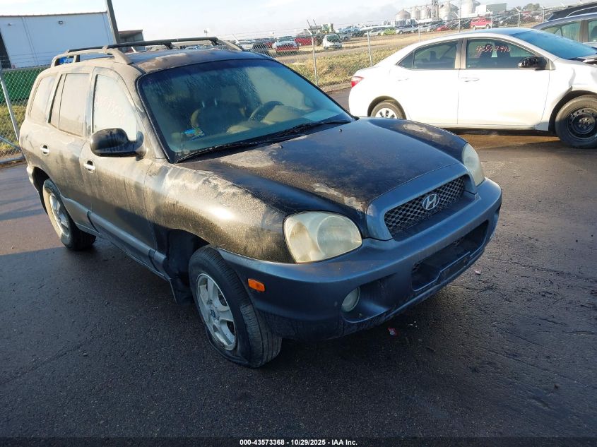 2003 Hyundai Santa Fe Gls/Lx