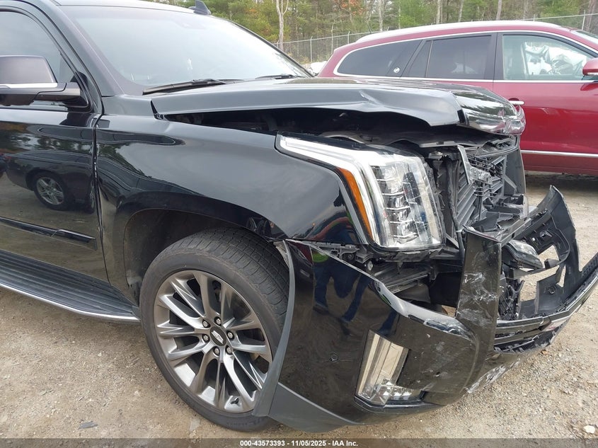 2019 CADILLAC ESCALADE LUXURY 1GYS4BKJ4KR391726