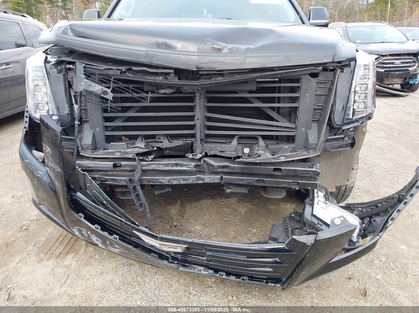 2019 CADILLAC ESCALADE LUXURY 1GYS4BKJ4KR391726