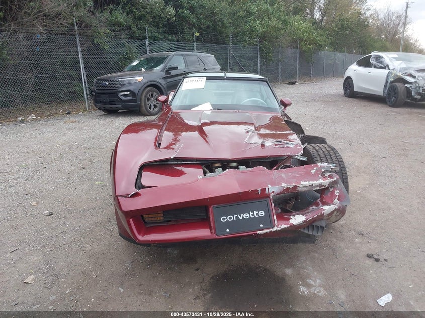 1981 Chevrolet Corvette VIN: 1G1AY8762BS409252 Lot: 43573431