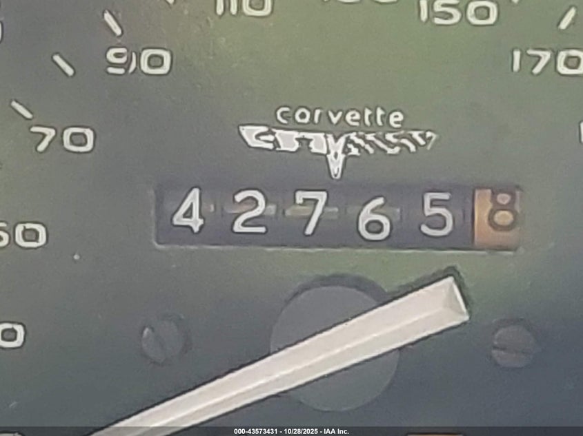 1981 Chevrolet Corvette VIN: 1G1AY8762BS409252 Lot: 43573431