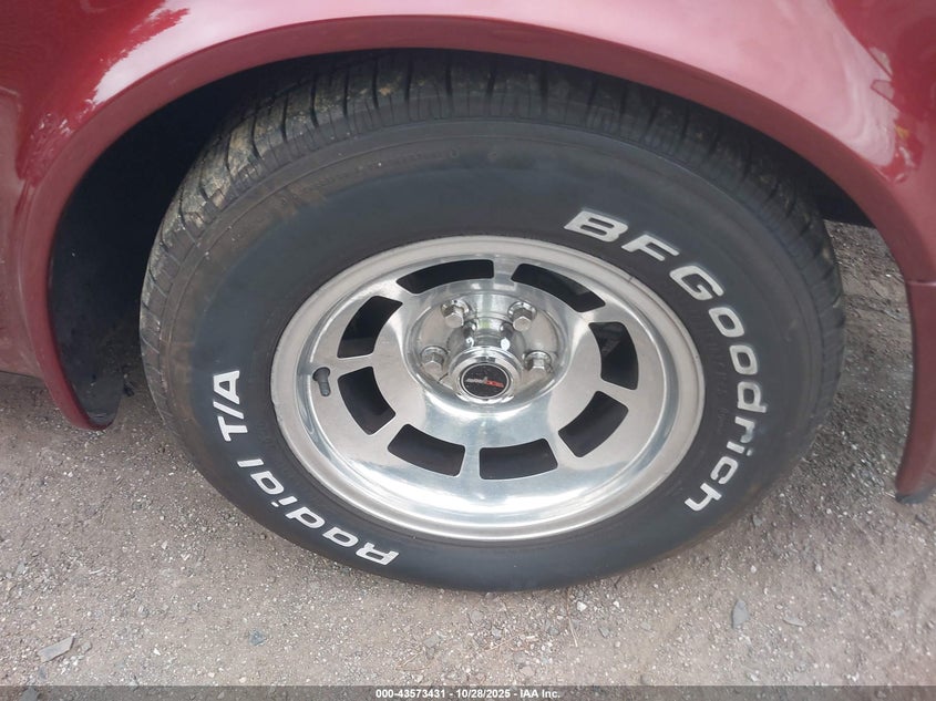 1981 Chevrolet Corvette VIN: 1G1AY8762BS409252 Lot: 43573431