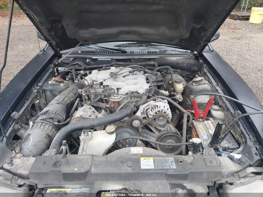 2003 Ford Mustang VIN: 1FAFP44453F338785 Lot: 43573454
